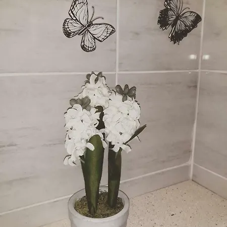 Ivan Domazet Appartement