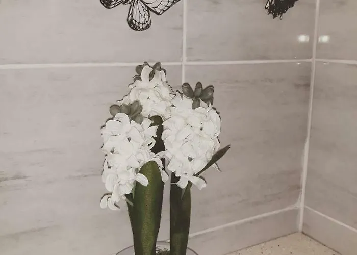 Ivan Domazet Apartamento